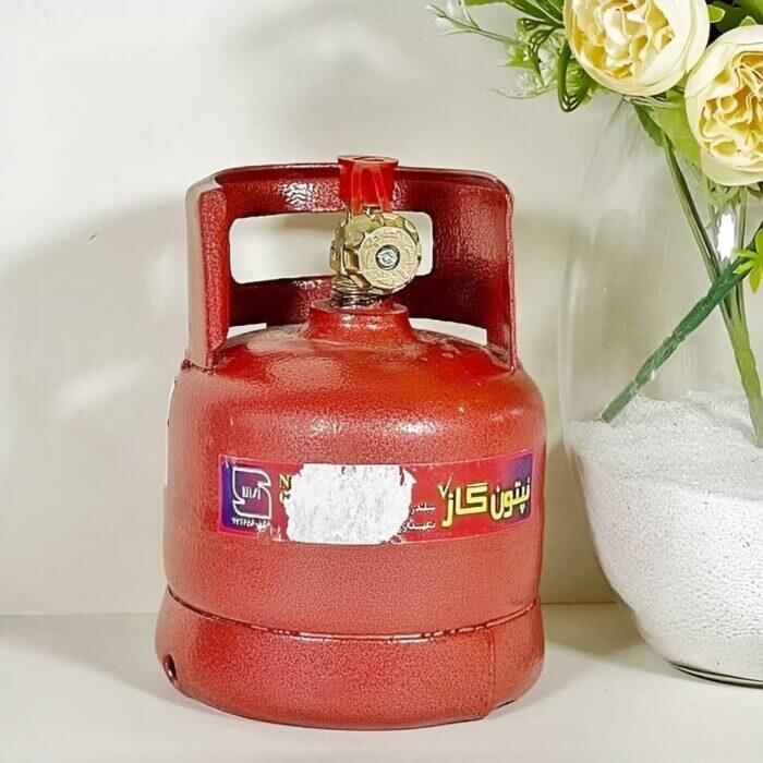 پیک نیک 5 کیلیویی نپتون - نمای 4