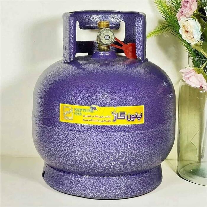 پیک نیک 5 کیلیویی نپتون - نمای 6